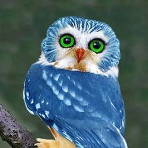 Meet your Posher, Tracey